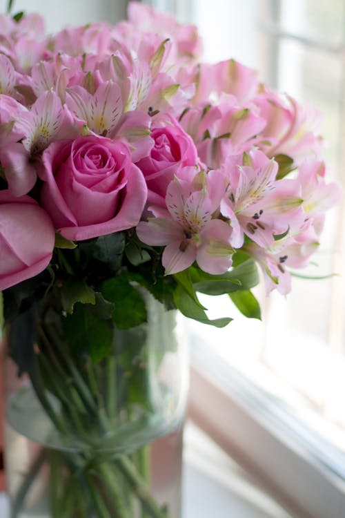 Çiçek aranjmanı, çiçek fotoğrafçılığı, dekoratif içeren Ücretsiz stok fotoğraf