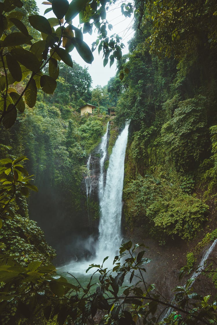 Landscape Photography Of Waterfalls Surrounded By Green Leafed Plants