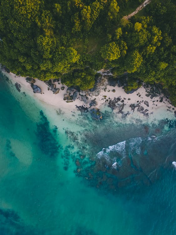 Fotobanka s bezplatnými fotkami na tému Ázia, Bali, breh