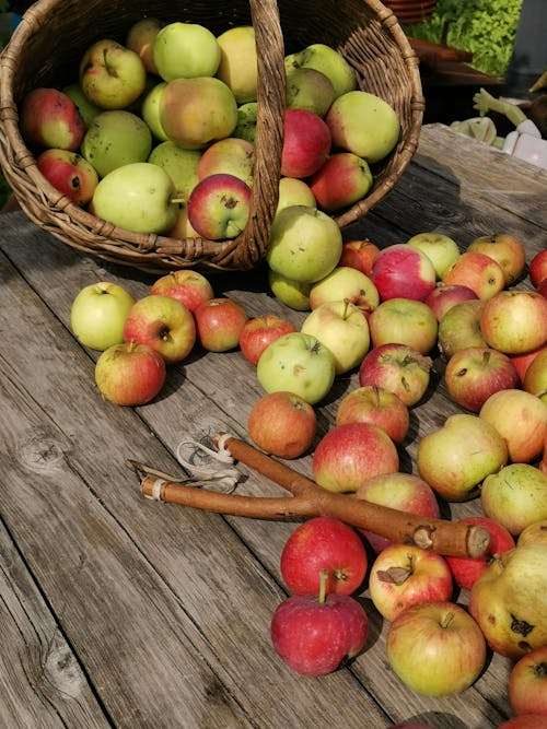 Gratis lagerfoto af æbler, frugter, spredt