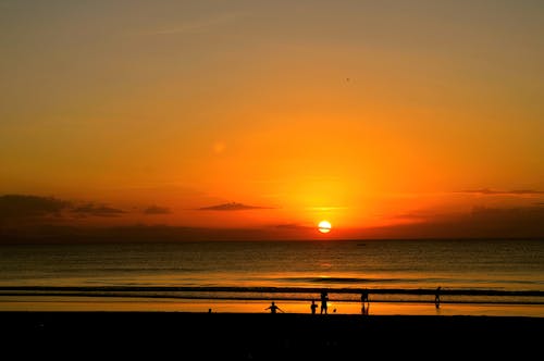 Silhouette of People on the Seashore During Golden Hour 