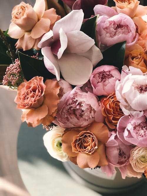 Free Белые, коричневые и фиолетовые цветы с лепестками Stock Photo