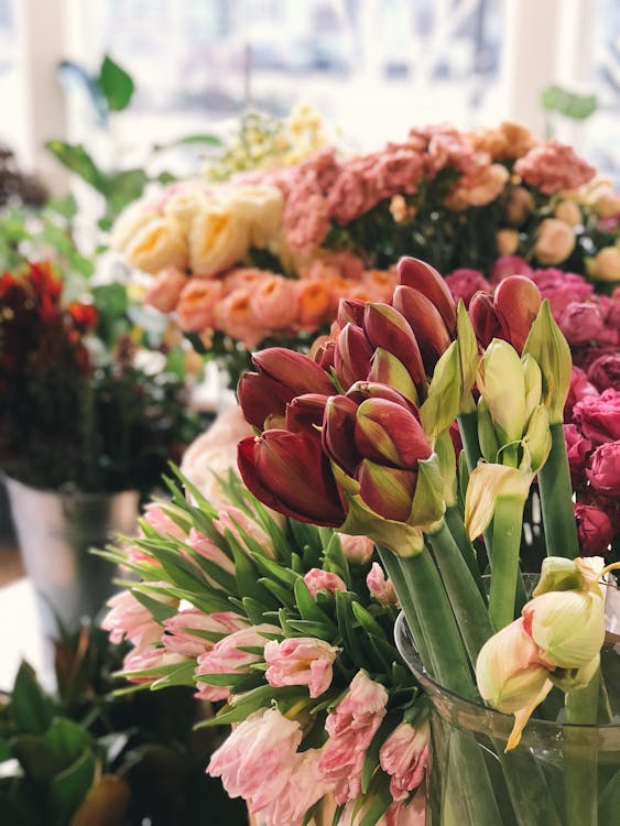 Fotografia Di Messa A Fuoco Selettiva Di Fiori Rosa E Rossi