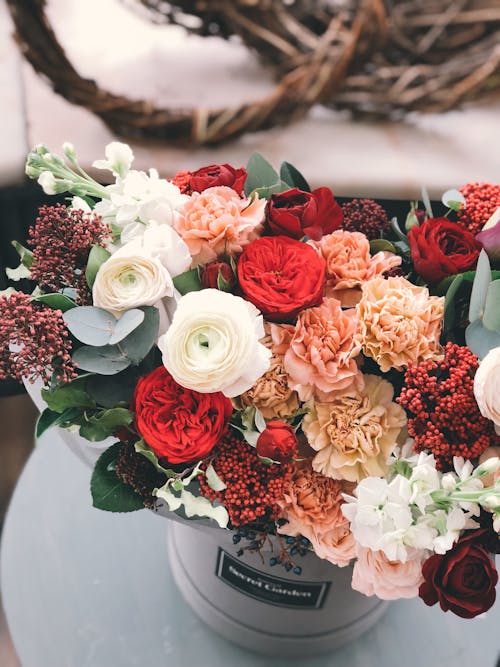 Free White, Red, Orange, and Brown Flowers Stock Photo