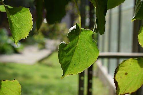 Fotobanka s bezplatnými fotkami na tému lešenie, outdoorová výzva, rozostrený