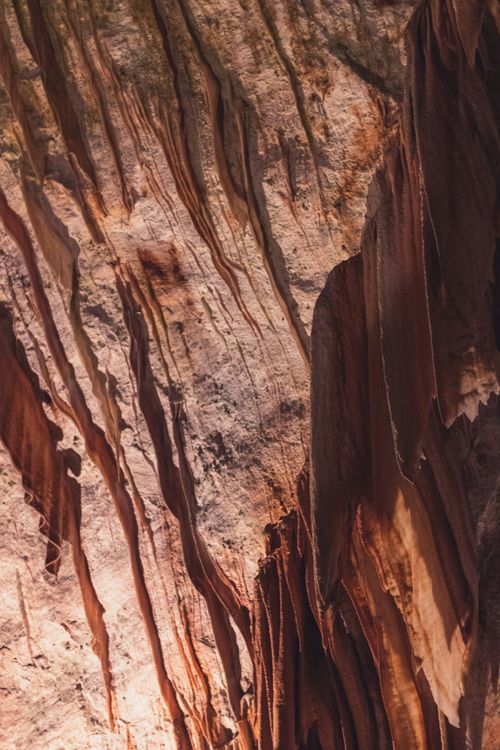 Free Vertical shot of intricate rock formations inside Postojna Cave, Slovenia. Stock Photo