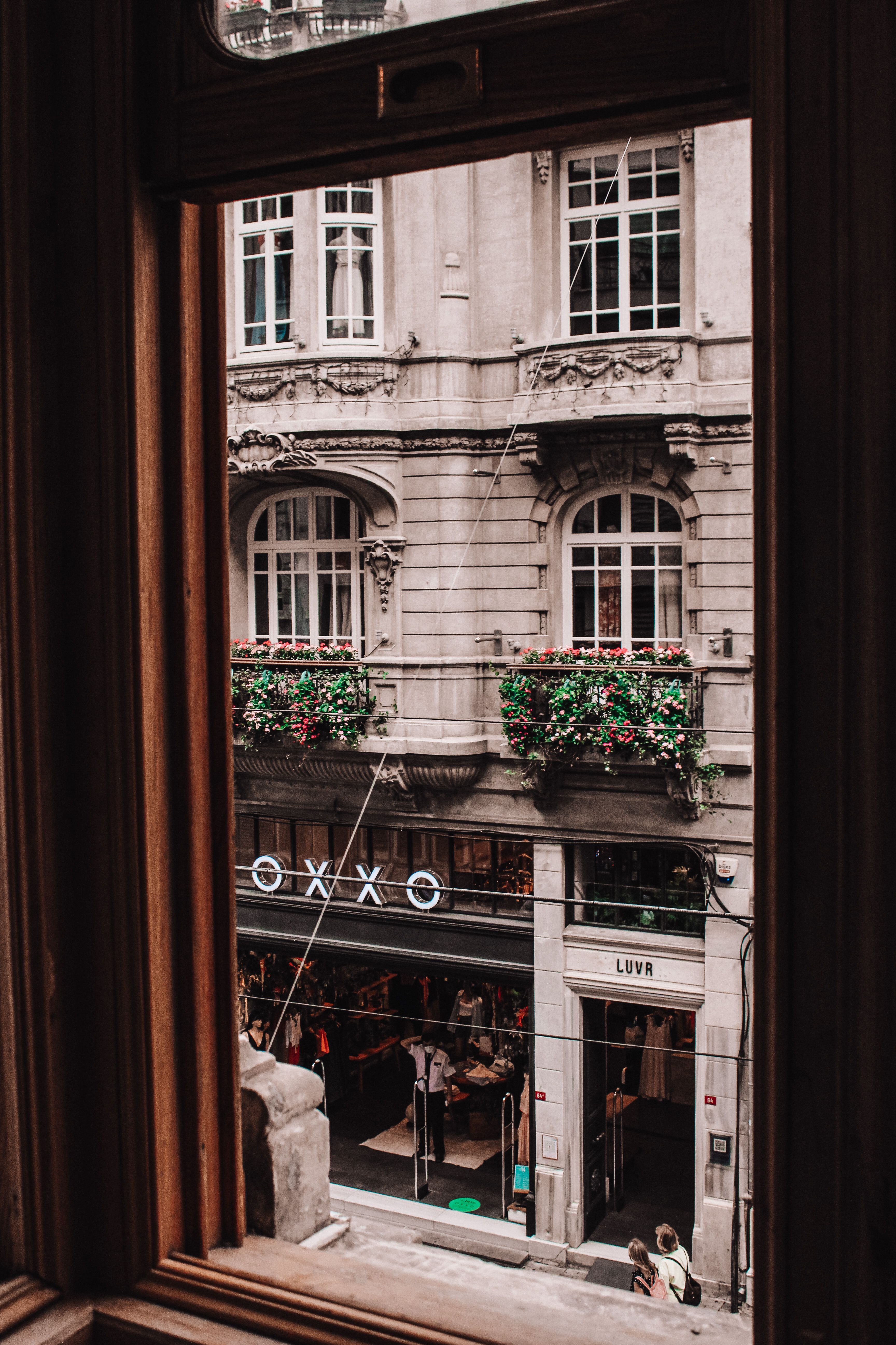 A view through a window capturing a historic building facade with decorative elements and flowers.