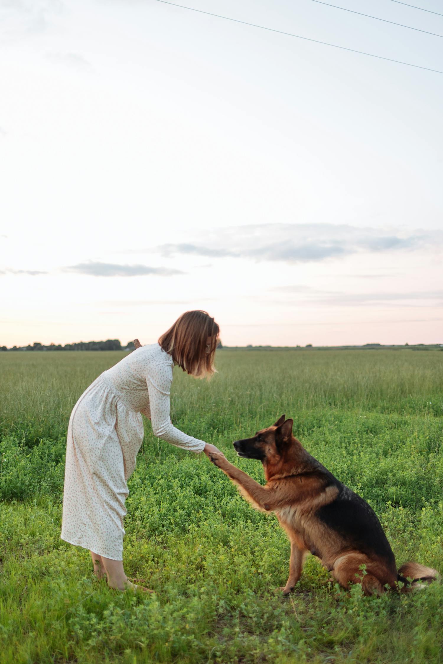 A Woman Training Her German Shepherd