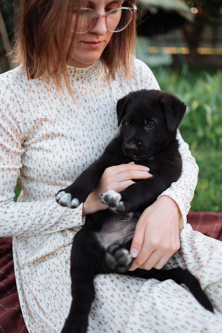 A Pet Lover Holding A Cute Puppy