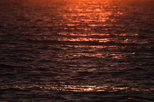 Free Golden sunset reflecting on the ocean waves, creating a serene and tranquil scene. Stock Photo