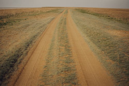 Kostenloses Stock Foto zu acker, außerorts, draußen