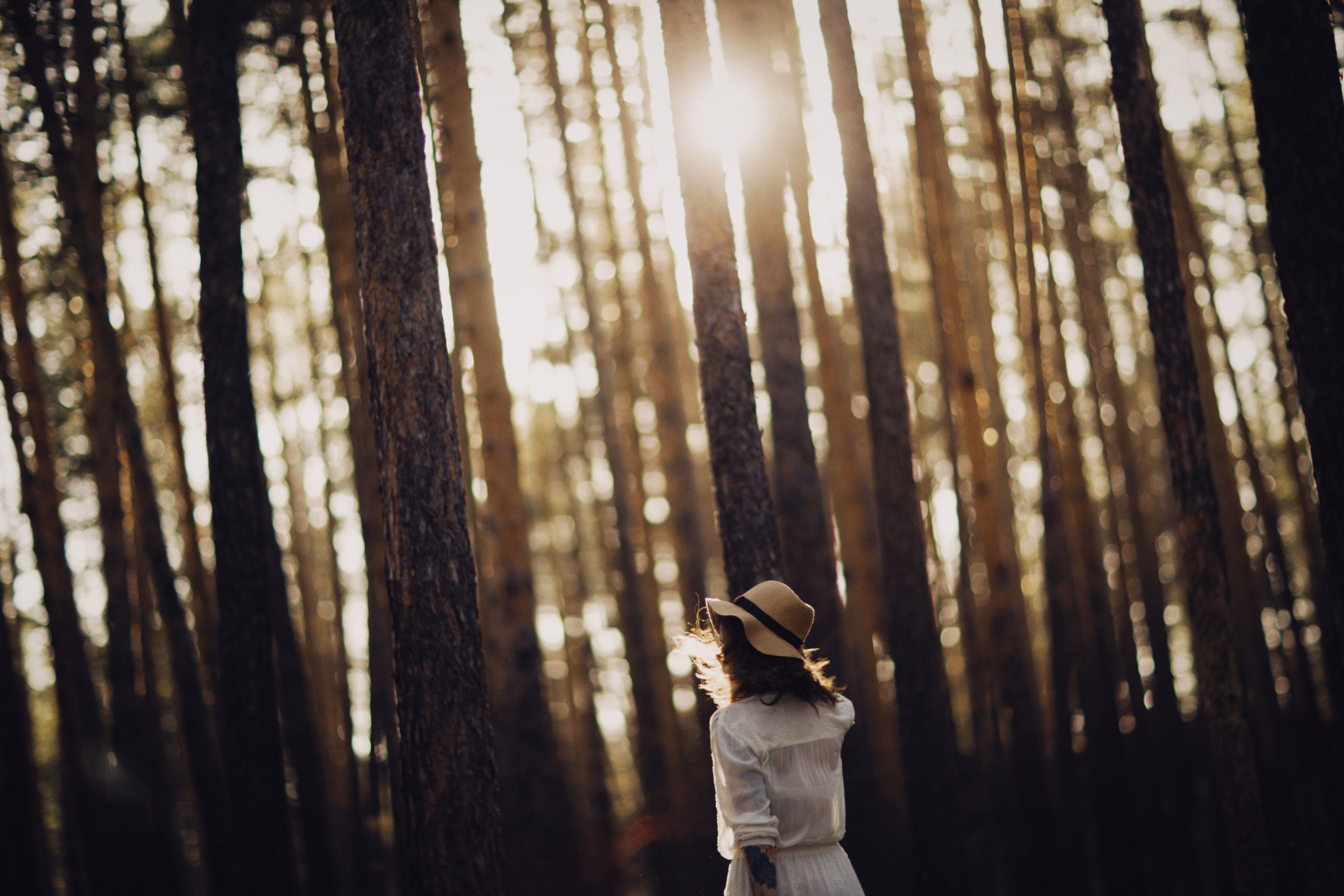 Stand Tall, Your Light Shines Brightest