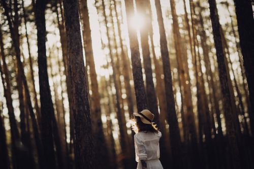 Free A woman in a white dress and hat stands in a serene forest, surrounded by tall trees as sunlight filters through. Stock Photo