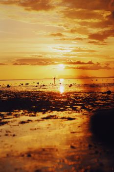 Beautiful orange sunset reflection on a serene beach with calm sea and dramatic clouds.