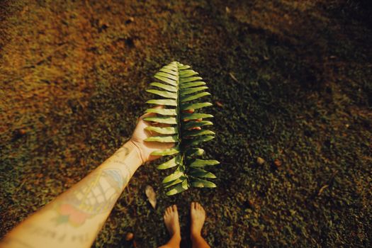 A tattooed hand holds a fern leaf in a grassy outdoor setting, emphasizing nature and personal expression.
