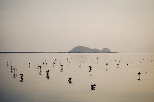 Základová fotografie zdarma na téma jezero, kopírování, krajina