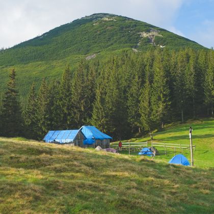 Camp below a forested peak — photo by Matthew Twin on Pexels