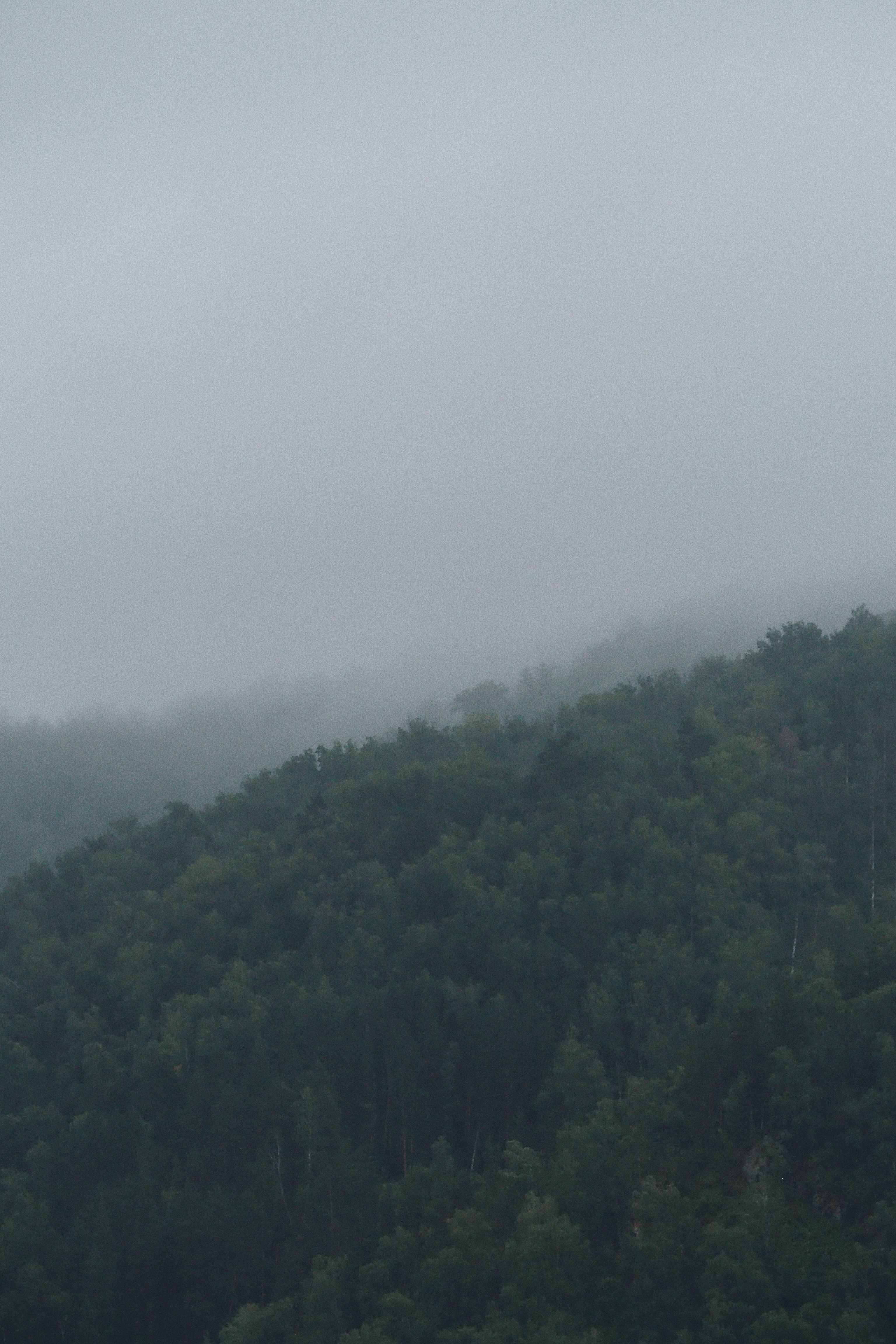 Aerial Photography of Foggy Green Trees on Mountain · Free Stock Photo