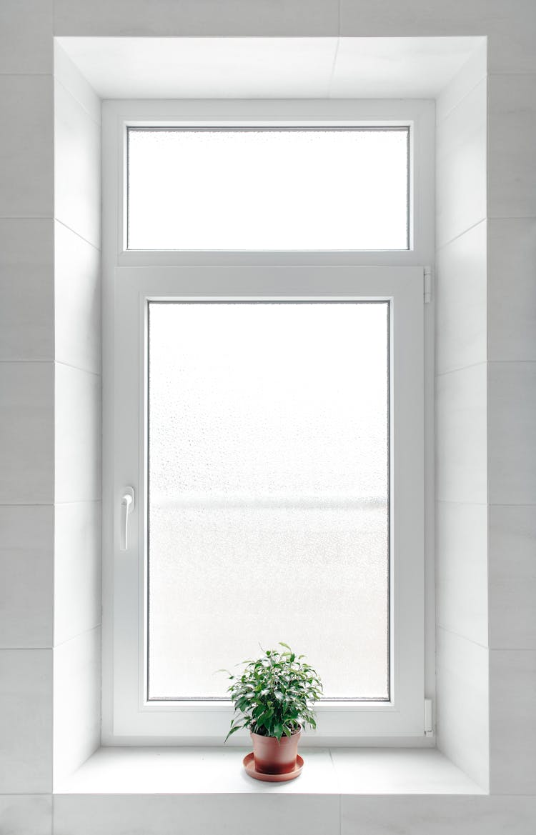 A Potted Plant On A Window Sill