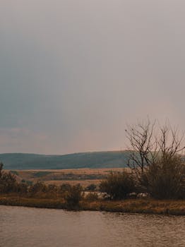 Peaceful scene with calm river, leafless trees, and distant hills during twilight.