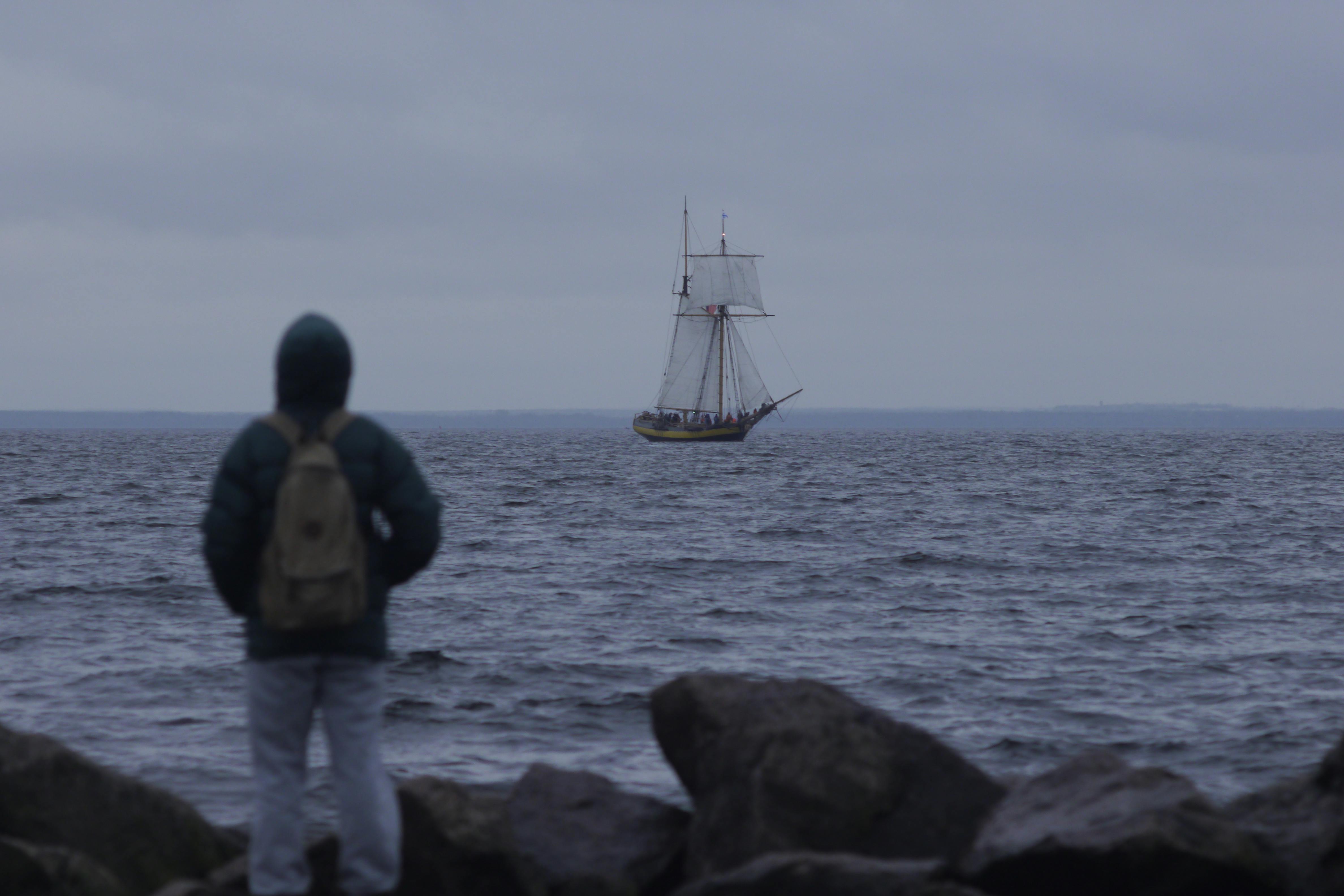 Free A person stands by the rocky coast in St. Petersburg, Russia, watching a ship sail on the sea. Stock Photo