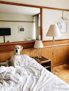 White Dog Sitting on the Bed with White Covers