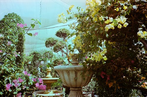 Δωρεάν στοκ φωτογραφιών με dubai, βοτανικός, κήπος Φωτογραφία από στοκ φωτογραφιών