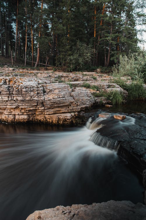 Flowing River in the Forest