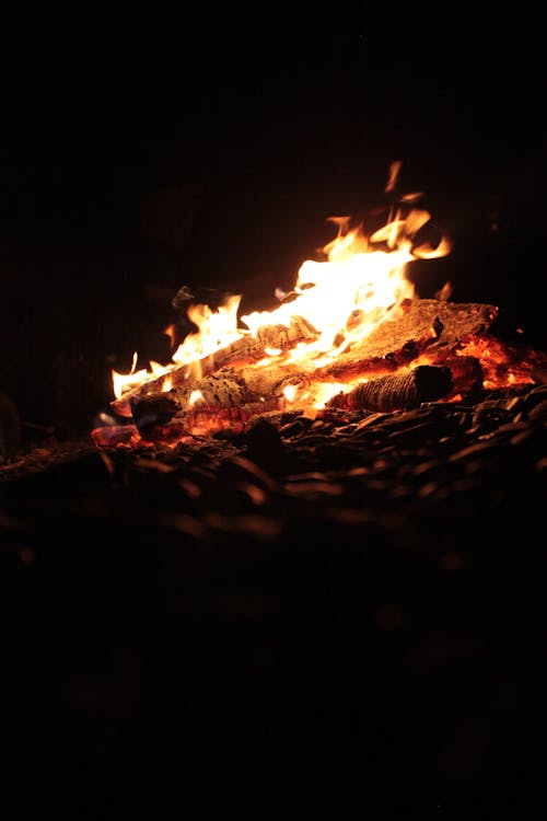 Close Up Shot of a Campfire