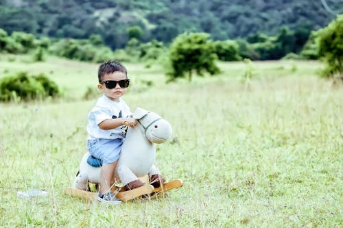A Cute Little Child Wearing Sunglasses Sitting on a Rocking Horse Placed on a Grass Field