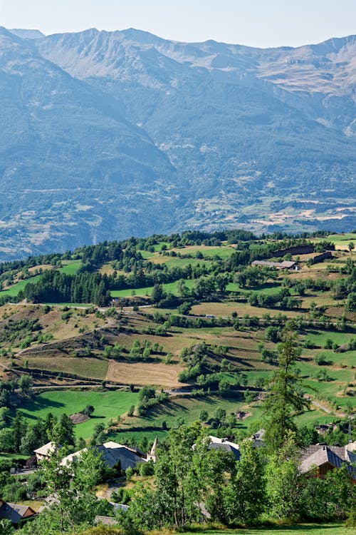 Green Trees on Grass Field Near Mountains