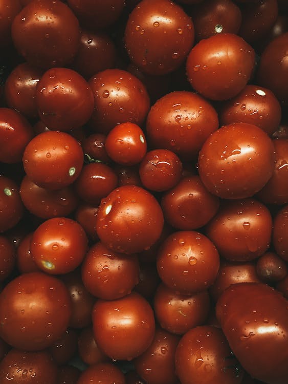 Wet Tomatoes in Close-up Photography