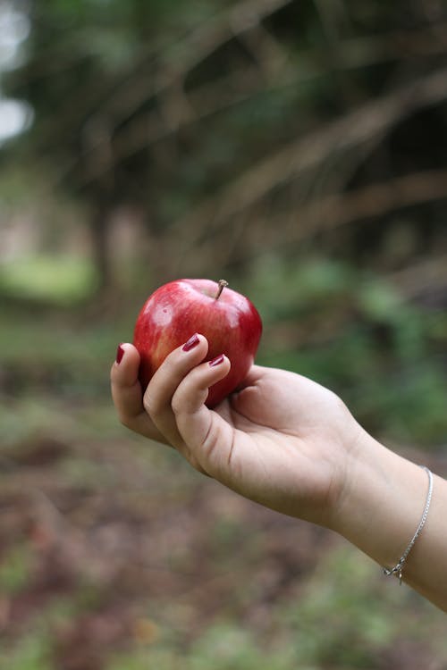 Close-Up Shot of a Person Holding an Apple