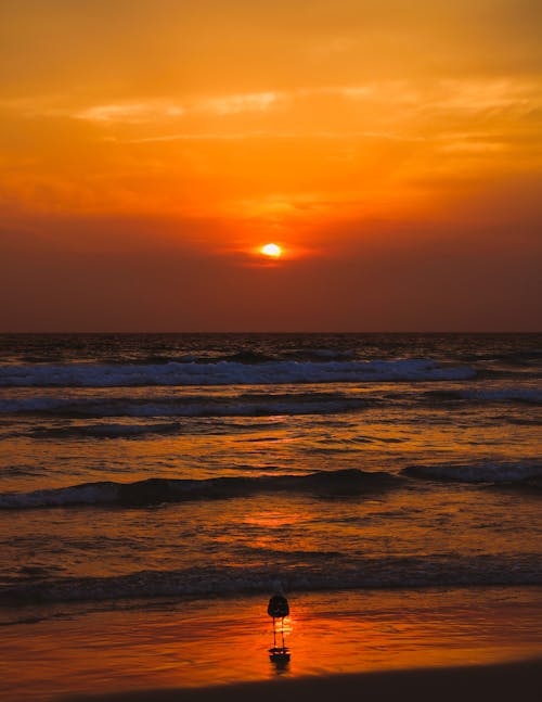 Gratuit Photos gratuites de aube, bord de mer, coucher de soleil Photos