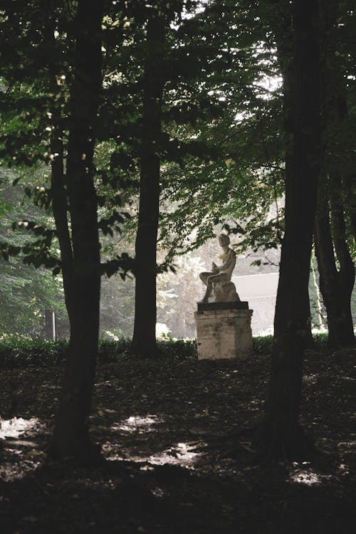 A White Statue in the Forest