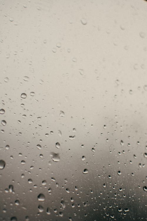 Close-up of Rain on a Window · Free Stock Photo