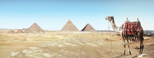 Δωρεάν στοκ φωτογραφιών με Αίγυπτος, άμμος, αξιοθέατο