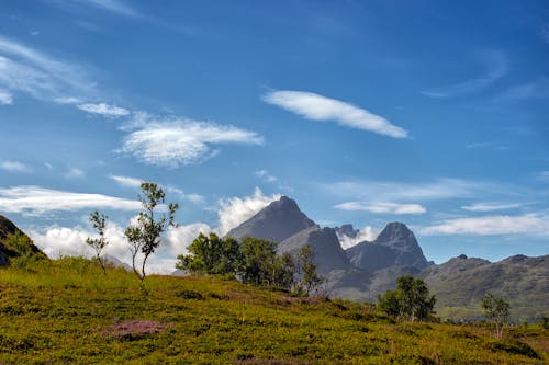 Fotos de stock gratuitas de arboles, césped, montañas