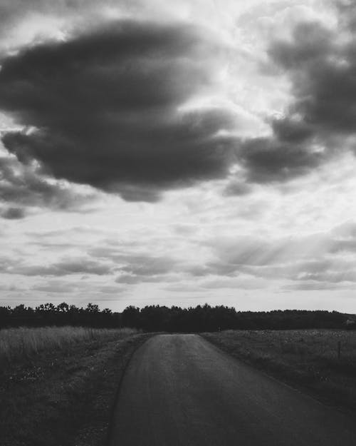 Grayscale Photo of a Road Across the Grass Field