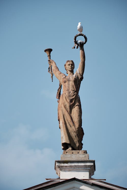 Immagine gratuita di cielo, gabbiano, scultura