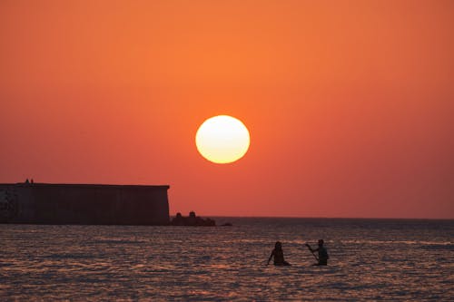 Silhouette of People on Swimming on Beach during Sunset