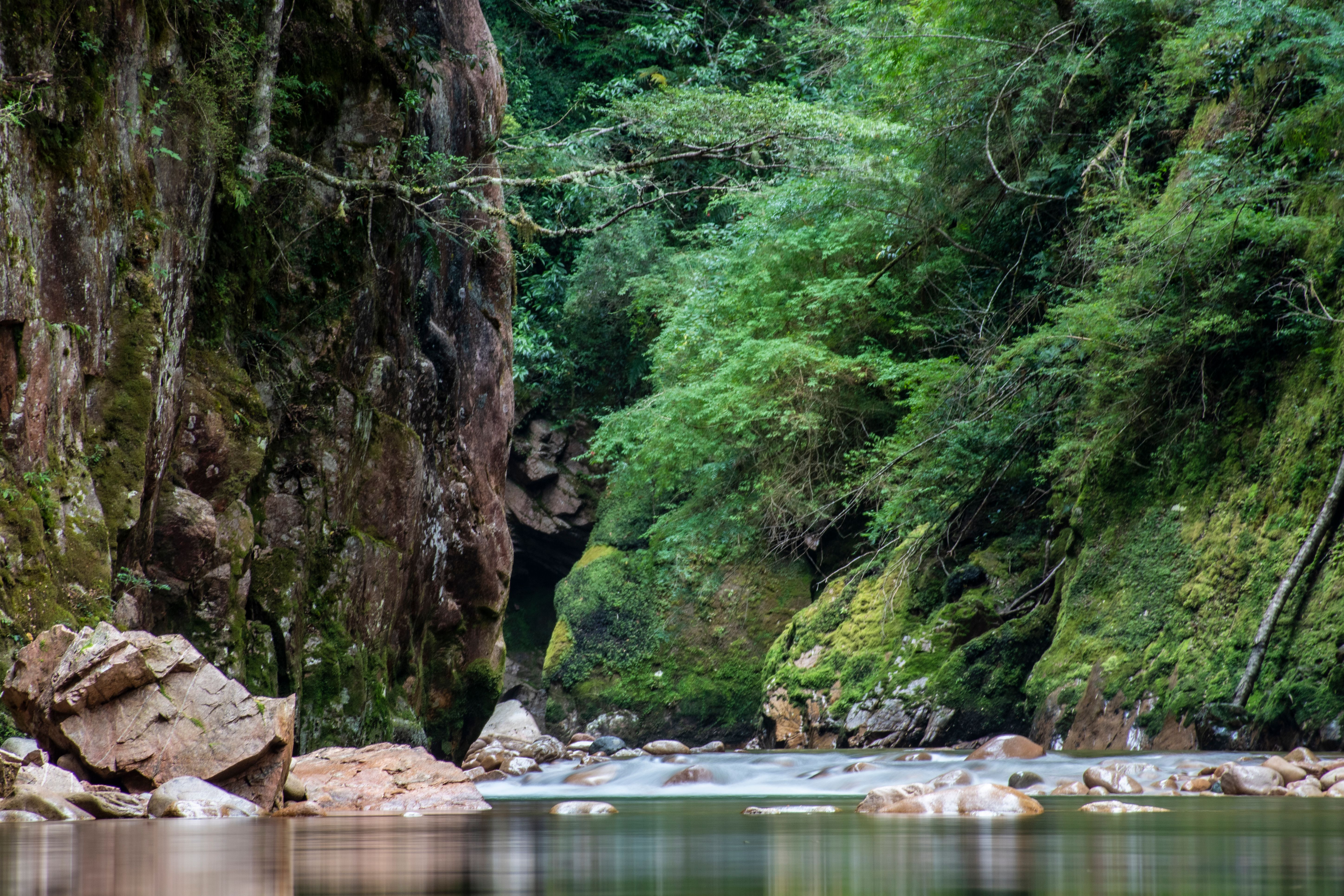 Explore the serene beauty of a verdant canyon in Río Negro, Argentina, showcasing nature's tranquility.