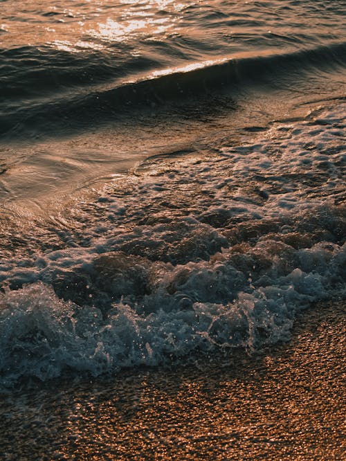 Wavy Sea and Beach