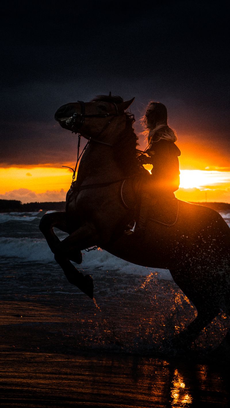 Coastal Horseback Riding