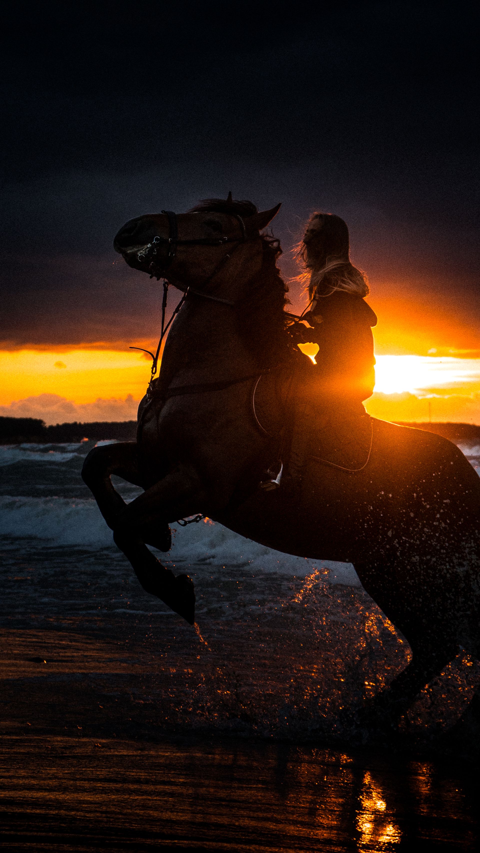 Dramatic horseback riding silhouette on the beach at sunset