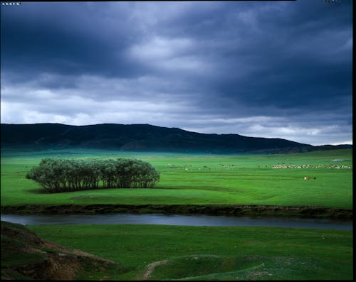 Clouds over Meadow