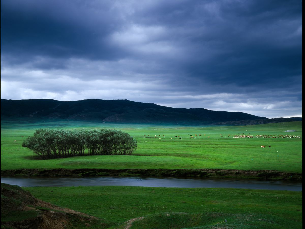 10 Day Nomadic New Year Retreat in Mongolia 3