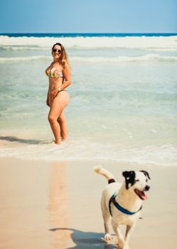 Woman in bikini with dog on a sunny beach, enjoying the waves.