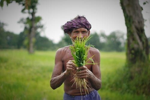 A Farmer Holding a Green Plant