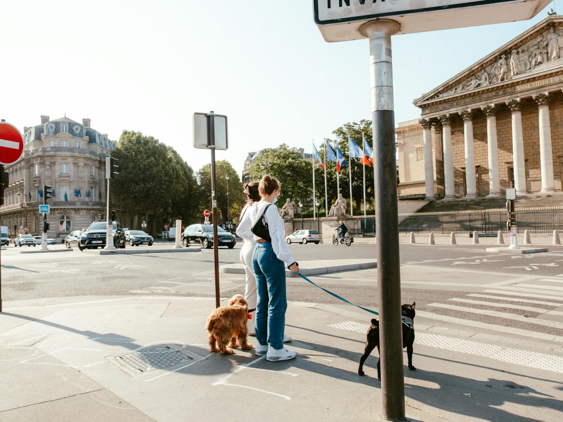 Women With Their Dogs on the Sidewalk